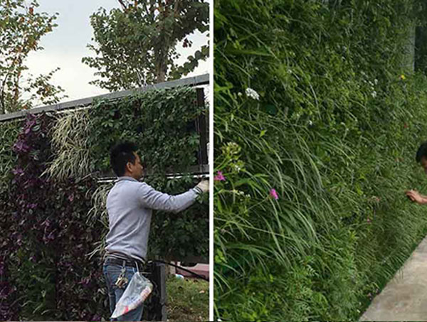 毕节立体绿化设计的核心原则