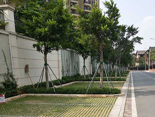 毕节植草砖的功能优势与实际应用 城市绿化铺装专用建材