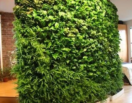 毕节立体绿化材料的植物搭配设计